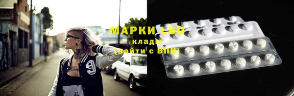 PSILOCYBIN Беломорск